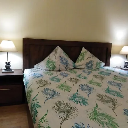 Raina Lux Apartment Riga