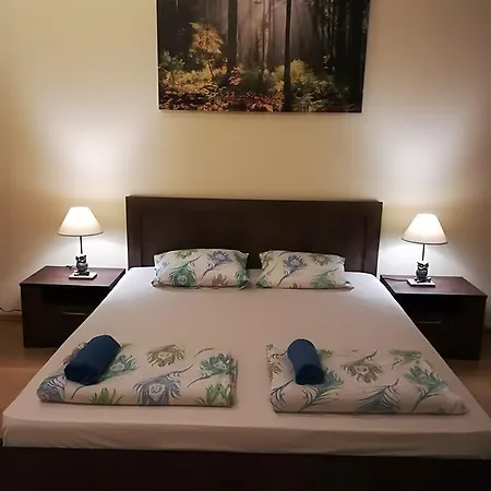 Raina Lux Apartment Apartment *