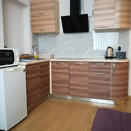 Raina Lux Apartment * Riga