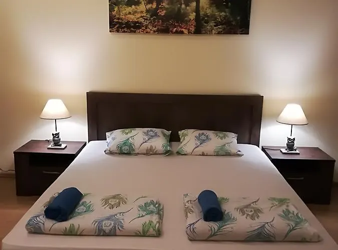 Raina Lux 아파트 *