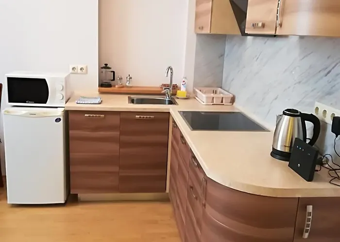 아파트 Raina Lux 리가