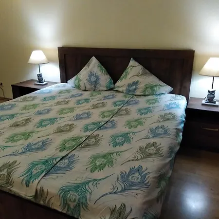 Raina Apartment * Рига