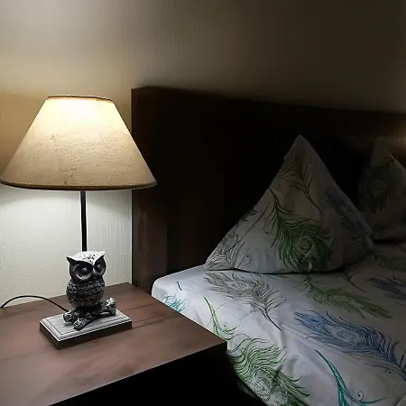 Raina Apartment Апартаменти Рига